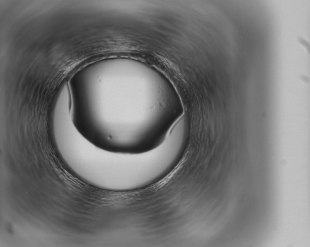 X0000096491161200802141739