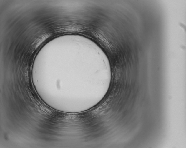 X0000096491162200802141739