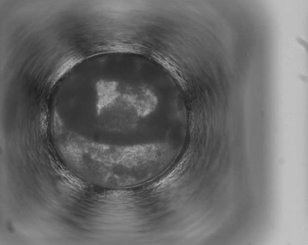 X0000096491163200802141739