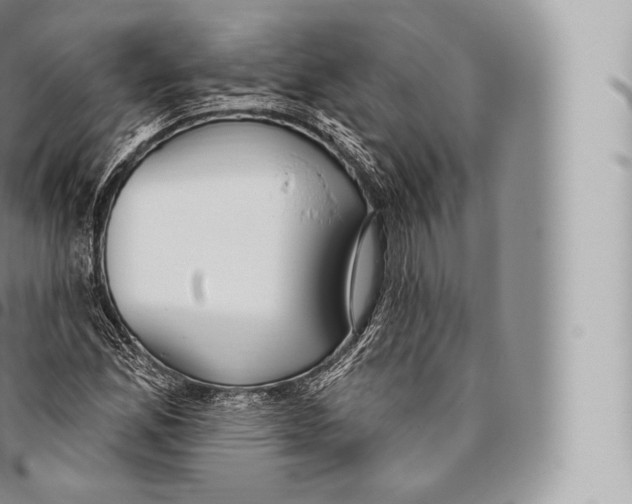 X0000096491165200802141739