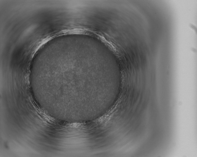 X0000096491166200802141739