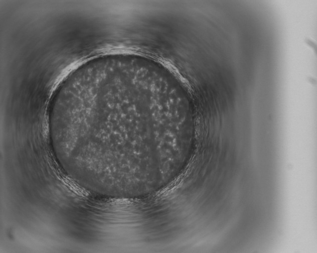 X0000096491167200802141739