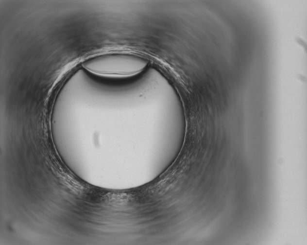 X0000096491168200802141739