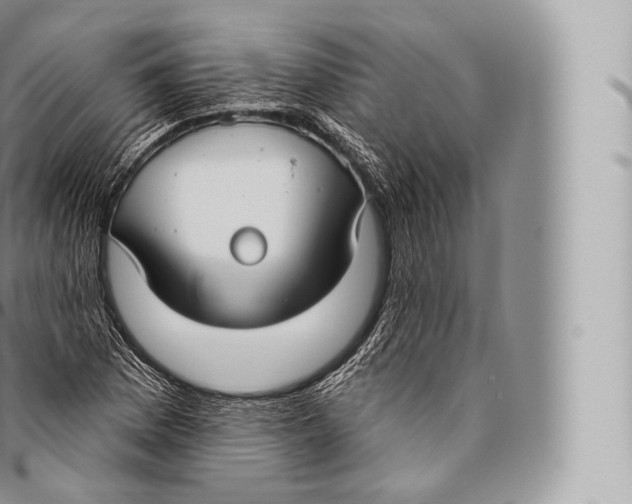 X0000096491169200802141739