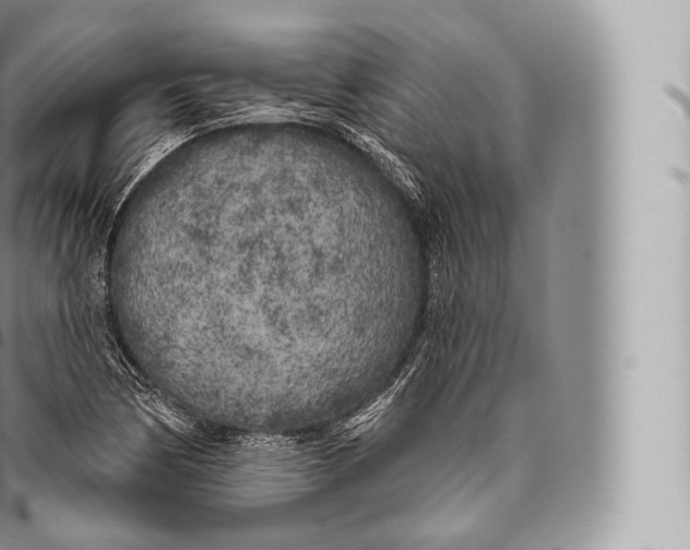 X0000096491170200802141739