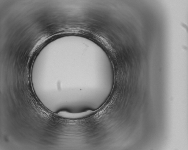 X0000096491172200802141739