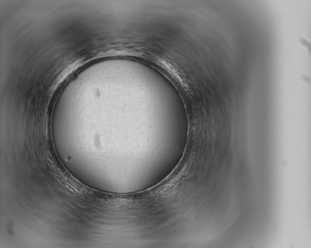 X0000096491173200802141739