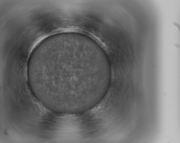 X0000096491174200802141739