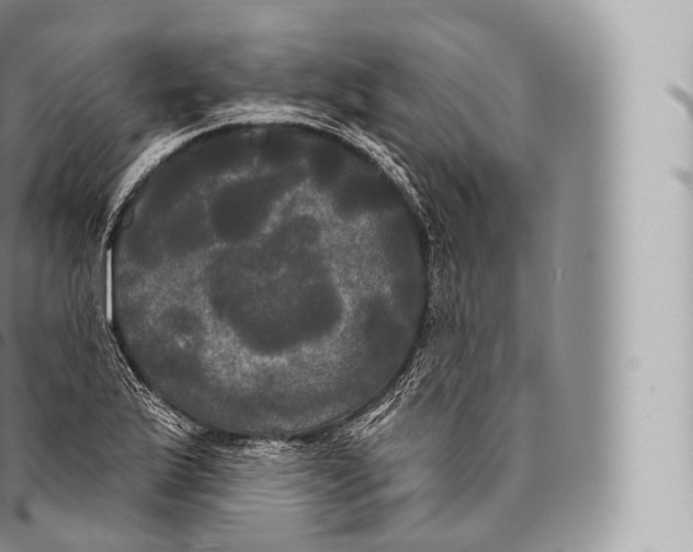 X0000096491175200802141739