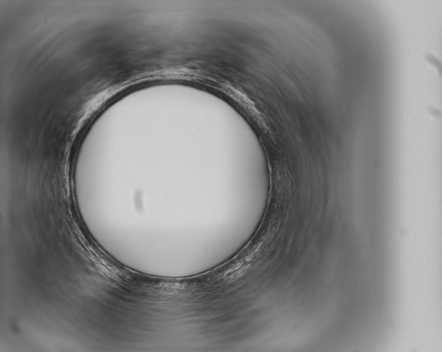 X0000096491176200802141739