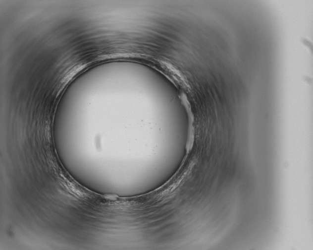 X0000096491177200802141739