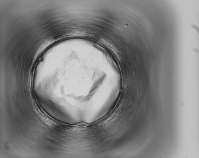 X0000096491179200802141738