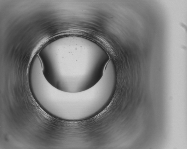 X0000096491180200802141738