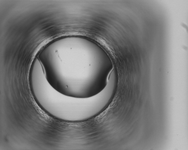 X0000096491181200802141738