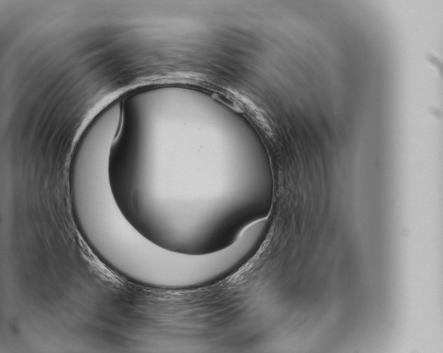 X0000096491184200802141738