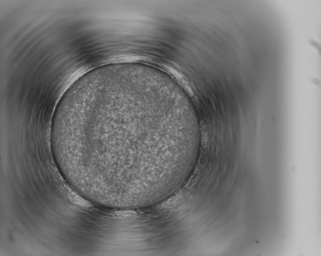 X0000096491186200802141738