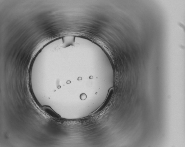 X0000096491187200802141738