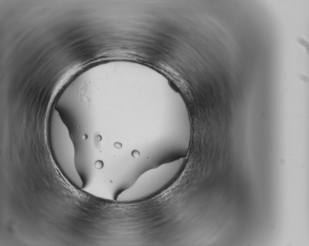 X0000096491188200802141738