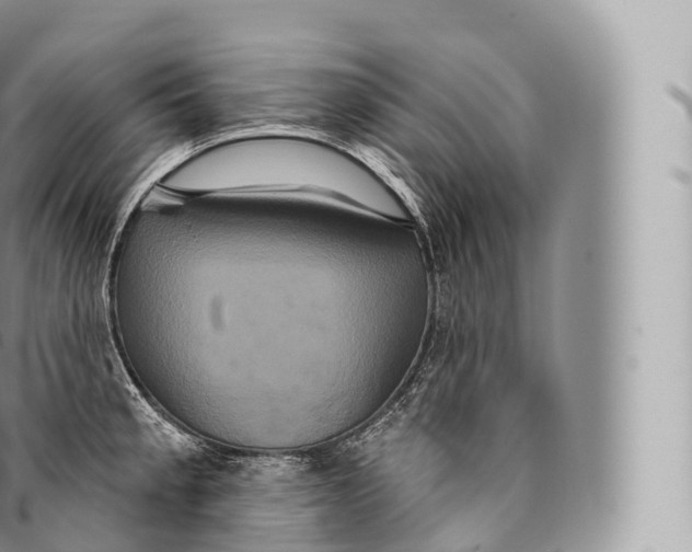 X0000096491189200802141738