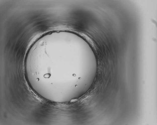 X0000096491191200802141738