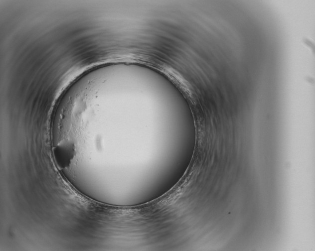 X0000096491192200802141738