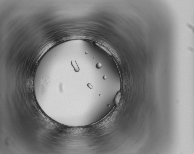 X0000096491193200802141738