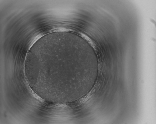 X0000096491194200802141738