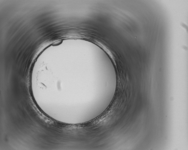 X0000096491195200802141738