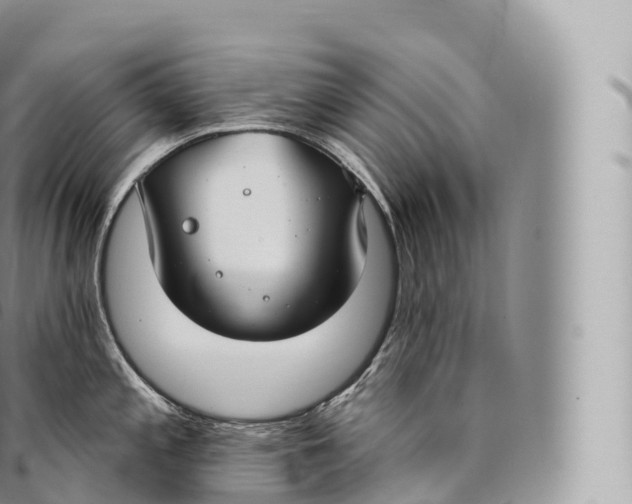 X0000096491197200802141738