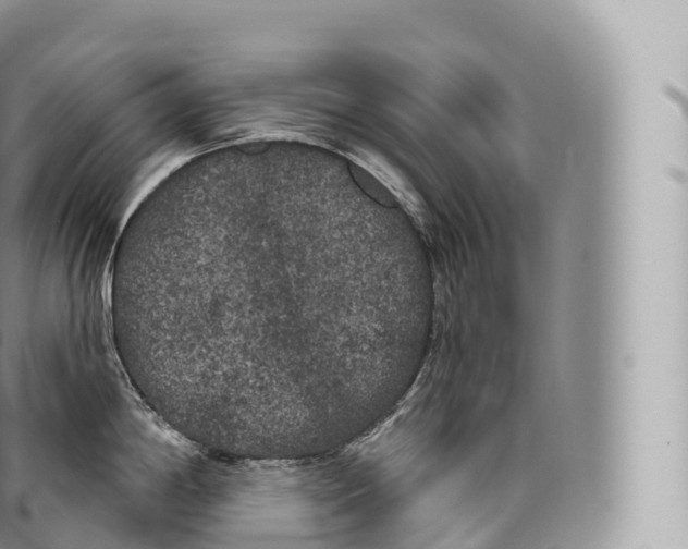 X0000096491198200802141738