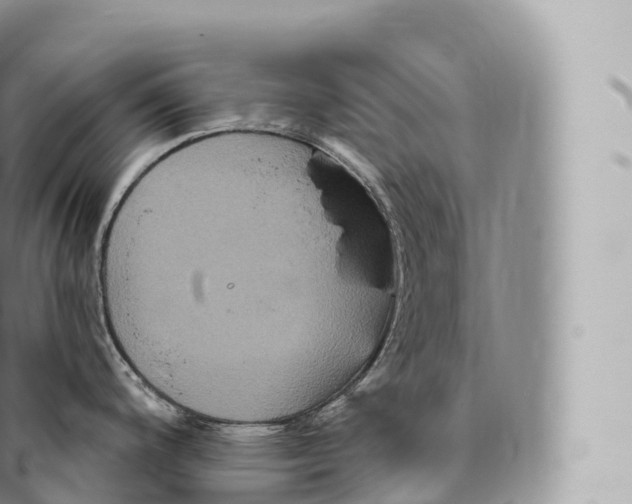 X0000096491200200802141738