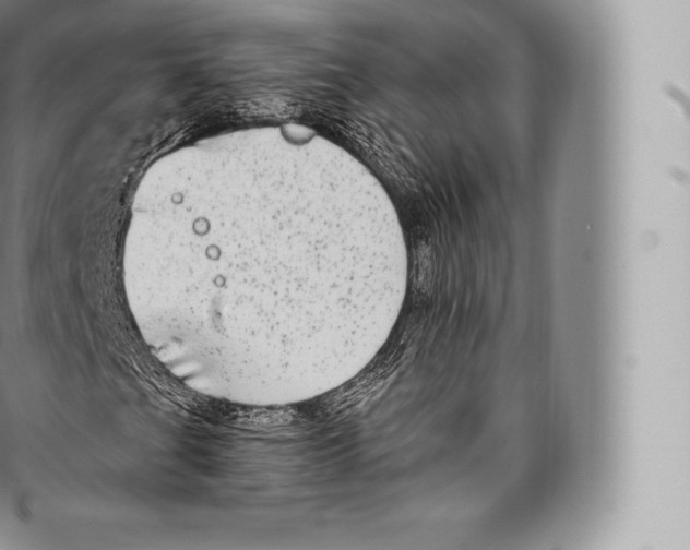 X0000096491201200802141737