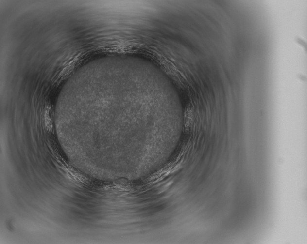 X0000096491202200802141737