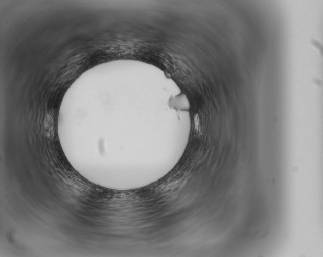 X0000096491203200802141737