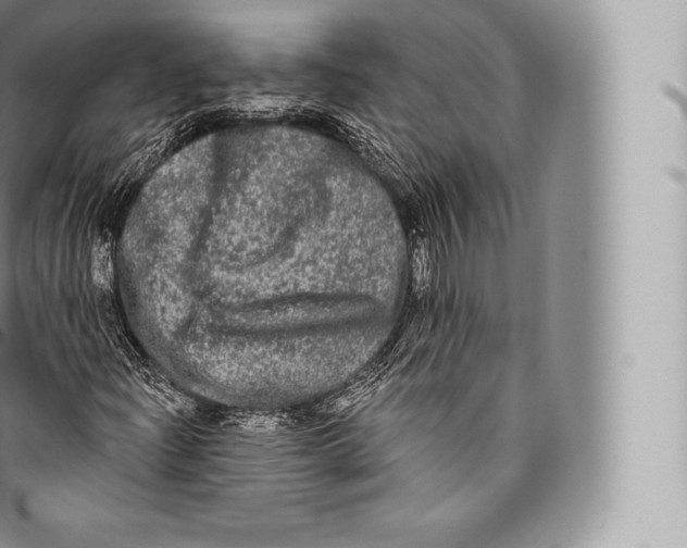 X0000096491204200802141737