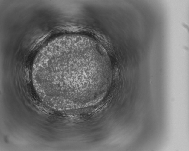 X0000096491205200802141737