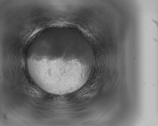 X0000096491206200802141737