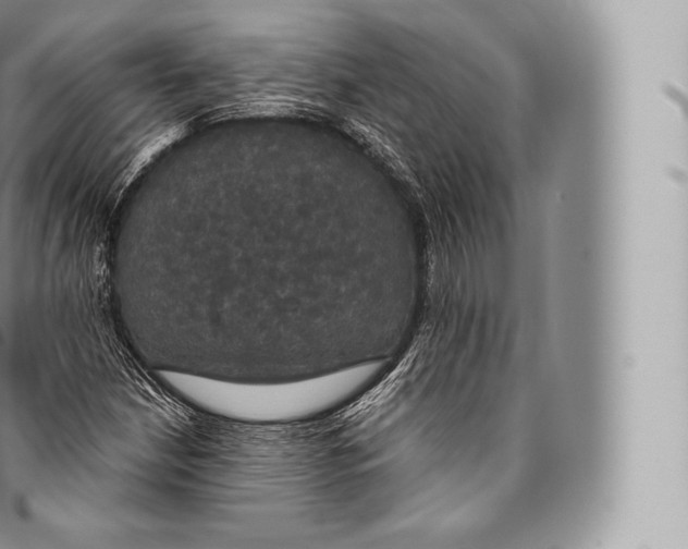 X0000096491210200802141738