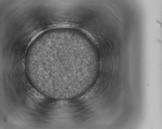 X0000096491212200802141738