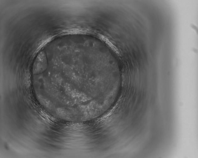 X0000096491213200802141738