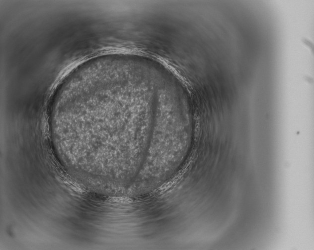 X0000096491215200802141738