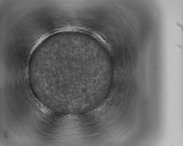 X0000096491216200802141738