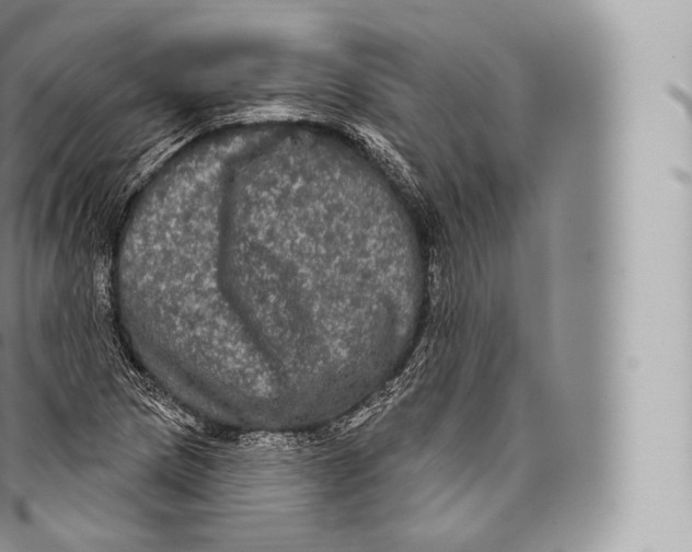 X0000096491217200802141738