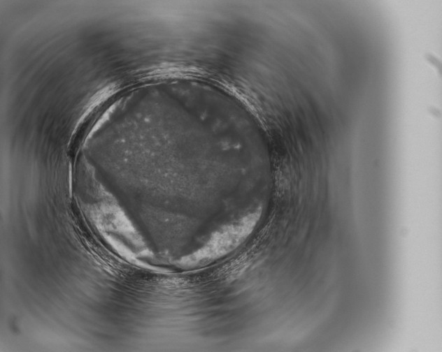 X0000096491219200802141738