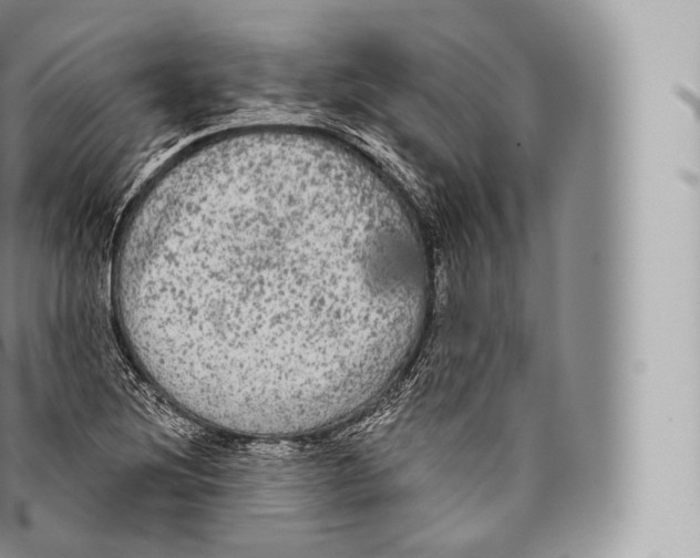 X0000096491220200802141738