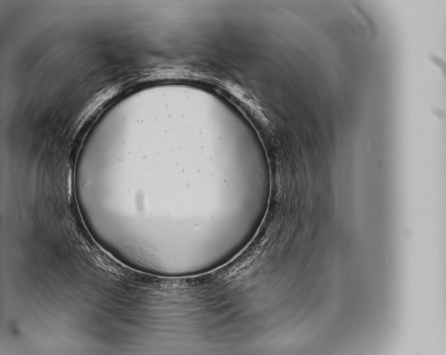 X0000096491221200802141738