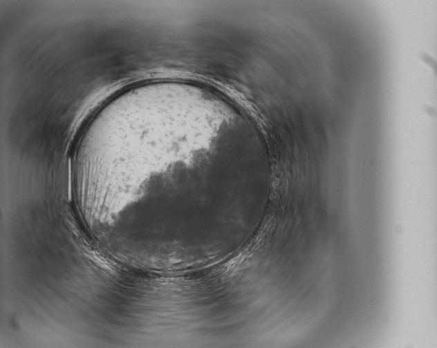 X0000096491223200802141738