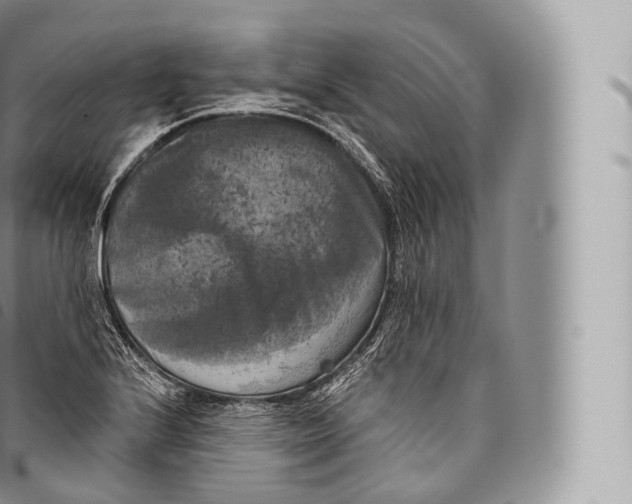 X0000096491224200802141738