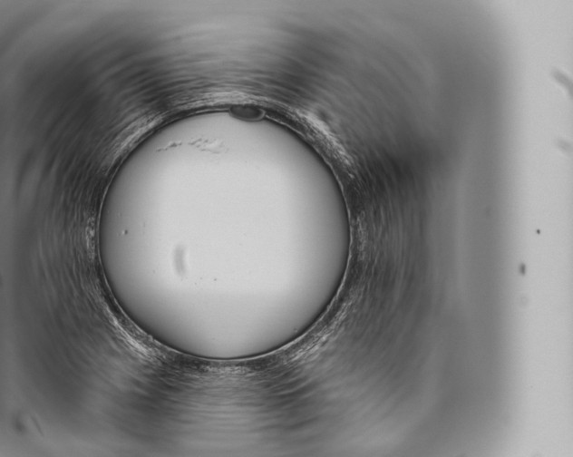 X0000096491225200802141738