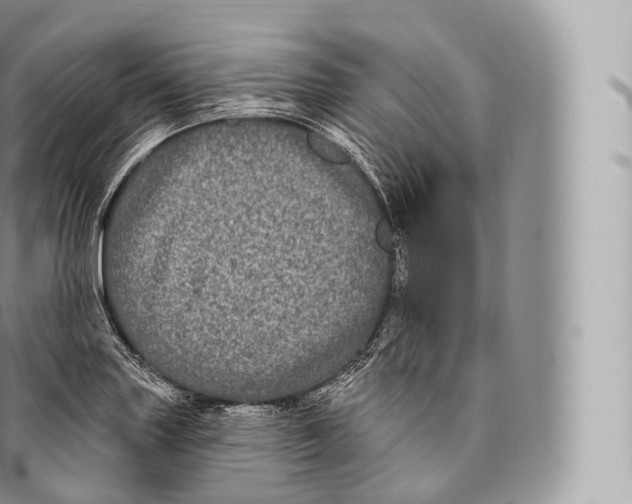 X0000096491227200802141738